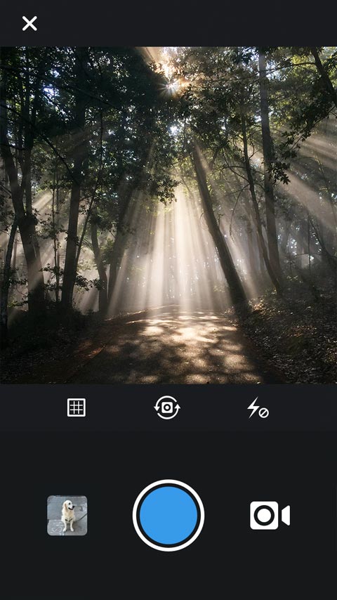 Instagram feed preview